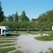 Posto auto per camper - Wohnmobilhafen Plön - Naturcamping Spitzenort