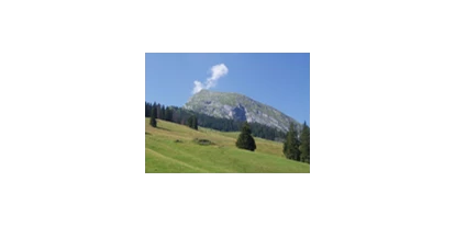 Reisemobilstellplatz - Umgebungsschwerpunkt: Berg - Zweisimmen - Wiriehornbahnen AG - Diemtigtal
