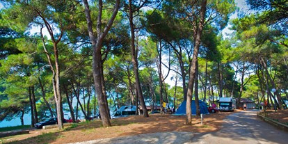 Motorhome parking space - Angelmöglichkeit - Istria - Campingplatz Arena Runke **