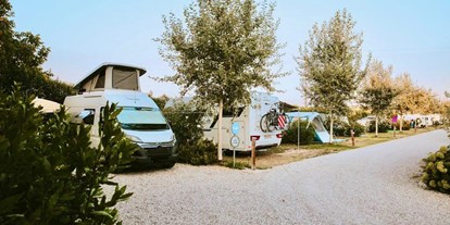 Motorhome parking space - Hunde erlaubt: Hunde erlaubt - Castelnuovo del Garda VR - AgriCamping Le Nosare