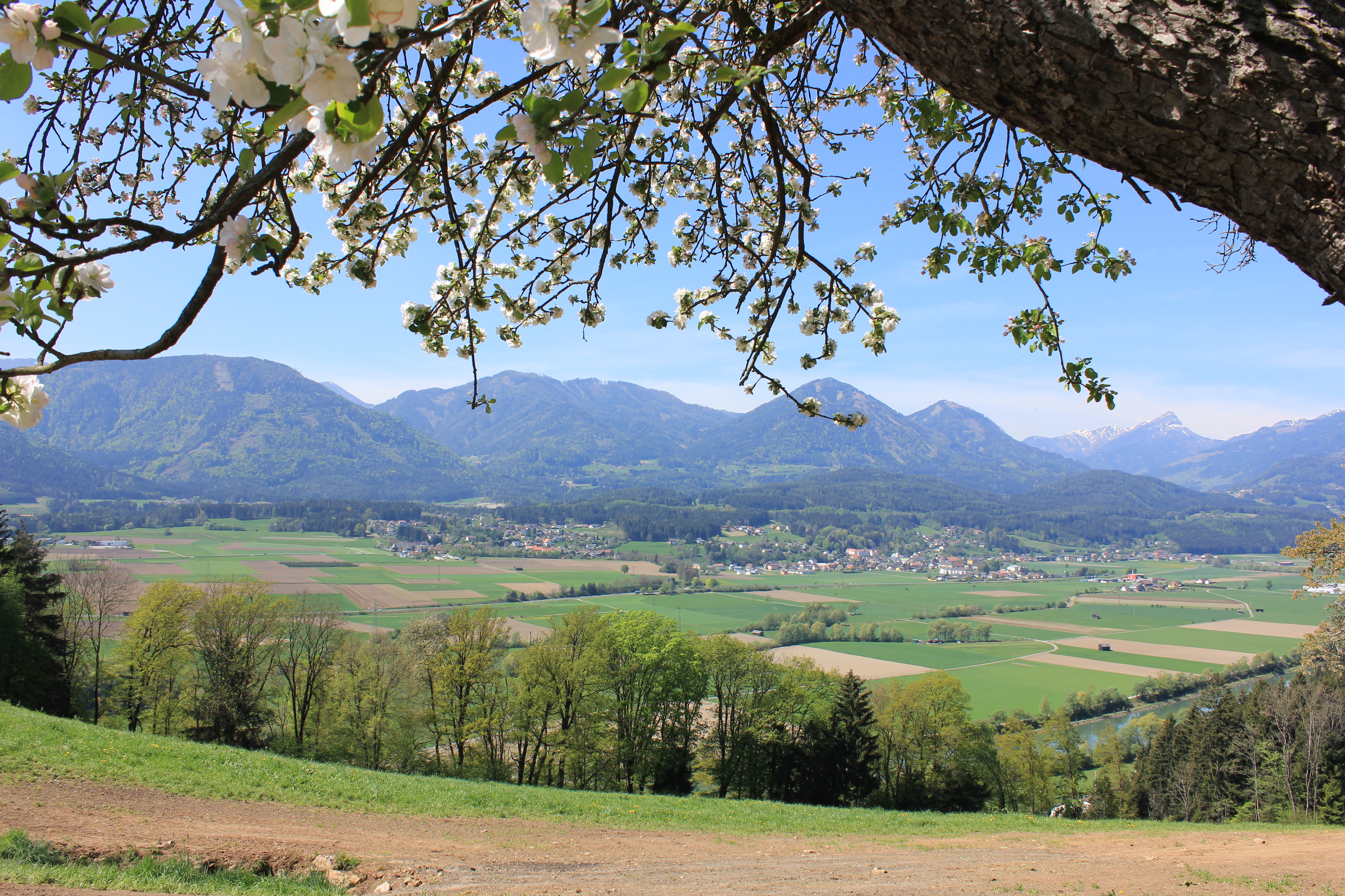 Motorhome parking ground - Schlaferhof - Panoramastellplatz am Bauernhof