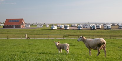 Reisemobilstellplatz - Bademöglichkeit für Hunde - Bockhorn (Friesland) - Wohnmobilhafen an der Ostdüne
