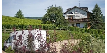 Reisemobilstellplatz - Angelmöglichkeit - Oberhosenbach - Der Stellplatz liegt direkt neben unserem Weingut - Weingut & Gästehaus Schäfer-Dienhart