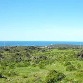 Parkeerplaats voor campers - Panorama-Ausblick
 - Agricamping - Agriturismo Petra di Cossu