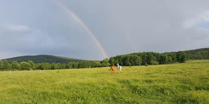 Reisemobilstellplatz - Hunde erlaubt: Hunde erlaubt - Giebułtów - Stellplatz Kopaniec (Seifershau) im Isergebirge