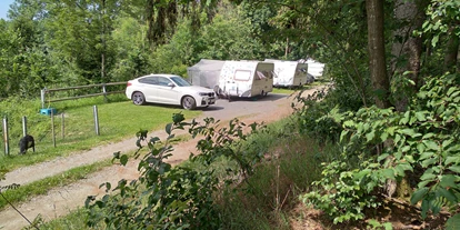 Plaza de aparcamiento para autocaravanas - Art des Stellplatz: am Bauernhof - Fürsteneck - Natur-Stellplatz auf Bio-Bauernhof + Kinderparadies