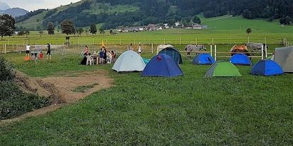 Reisemobilstellplatz - Wohnwagen erlaubt - Hütten (Leogang) - Camping am Eggerhof - Eggerhof Saalfelden