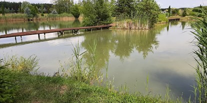 Reisemobilstellplatz - Umgebungsschwerpunkt: am Land - Polen - Fisch Camp Ownice