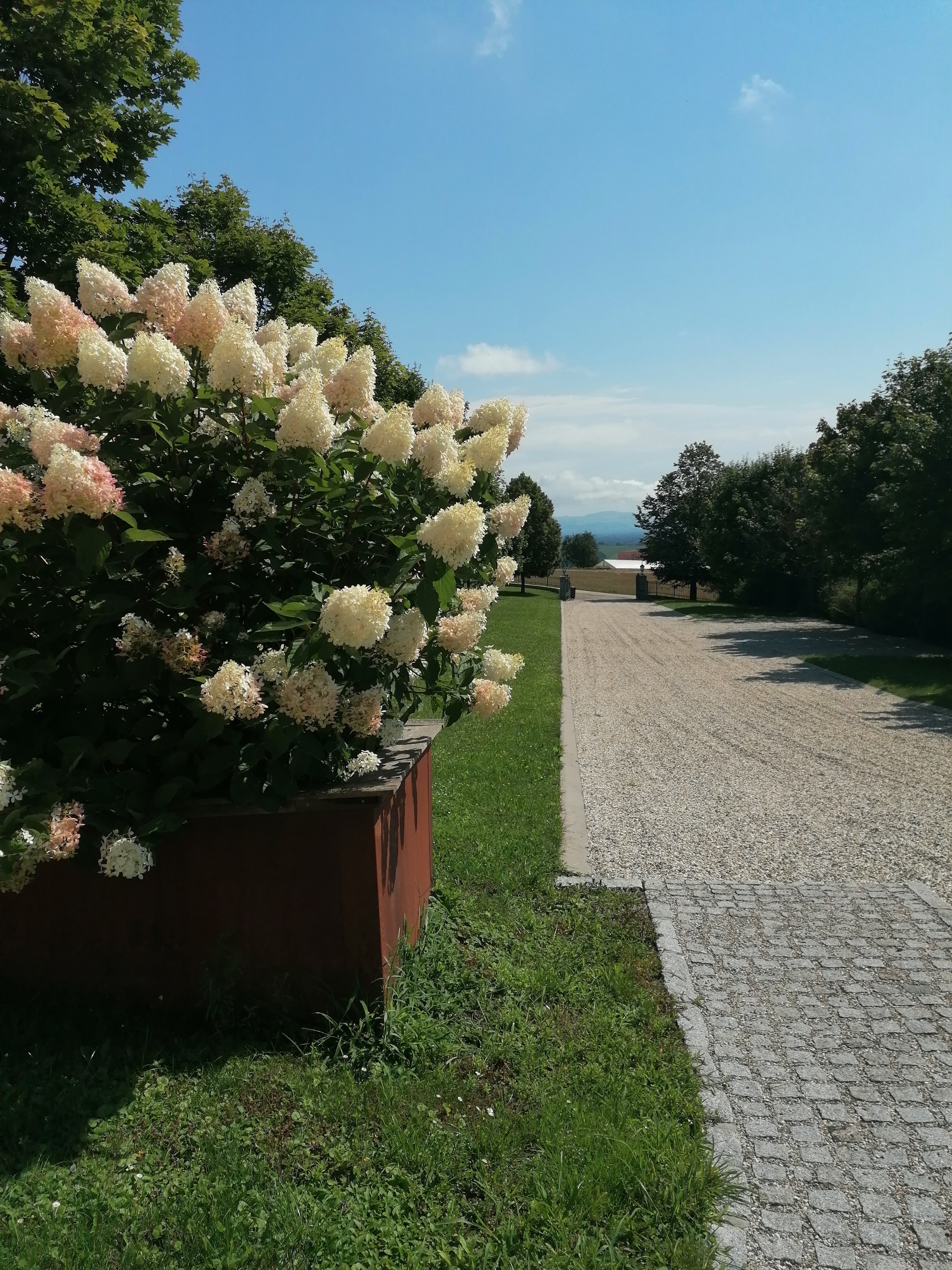 área de autocaravanas - Stellplatz mit Strom, Wasser und Müllentsorgung😊. 
Ruhe genießen und entspannen 😎 
 - Wohnmobil und Wohnwagenstellplatz 20 min. von Therme Tropicana und Aquapulco, IKUNA und Zoo Schmiding entfernt