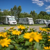Parkeerplaats voor campers - Spreewald Caravan- und Wohnmobilpark "Dammstrasse" - Spreewald Caravan- und Wohnmobilpark "Dammstrasse"