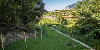 Reisemobilstellplatz - Umgebungsschwerpunkt: Berg - Trentino-Südtirol - Camping Grumèl