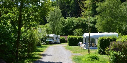 Reisemobilstellplatz - WLAN: am ganzen Platz vorhanden - Müllerthal - Camping Waldfrieden