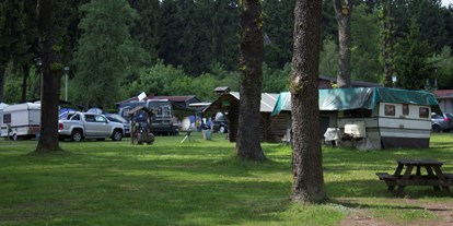 Reisemobilstellplatz - Art des Stellplatz: im Campingplatz - Katzhütte - Wohnmobil-Ferienpark Großbreitenbach