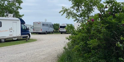 Motorhome parking space - Bademöglichkeit für Hunde - Sonderso - Rosenvold Strand Camping