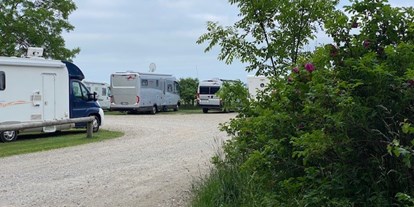 Motorhome parking space - Jelling Sogn - Rosenvold Strand Camping