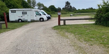 Motorhome parking space - Bademöglichkeit für Hunde - Sonderso - Rosenvold Strand Camping