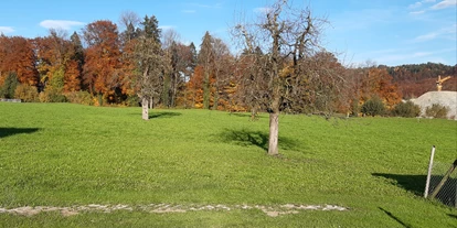 Reisemobilstellplatz - Umgebungsschwerpunkt: am Land - Wolhusen - Bauernhof Wallimann