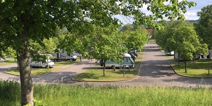 Place de parking pour camping-car - Umgebungsschwerpunkt: Fluss - Thalmässing - Wohnmobilstellplatz an der Schiffsanlegestelle