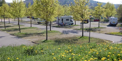 Parkeerplaats voor camper - Hallenbad - Thalmässing - Wohnmobilstellplatz an der Schiffsanlegestelle
