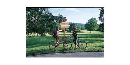 Reisemobilstellplatz - öffentliche Verkehrsmittel - Schlüchtern - Radeln in der Umgebung - Schlosspark König Ludwig I.-Wohnmobilplatz