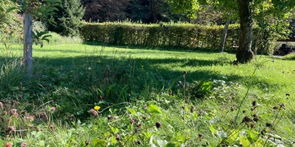 Plaza de aparcamiento para autocaravanas - Stromanschluss - Gränichen - Blick auf den grünen Stellplatz - Wildenau