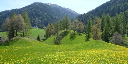 Reisemobilstellplatz - Umgebungsschwerpunkt: am Land - Schönberg im Stubaital - Pillberg - Stellplatz Plankenhof / Wohnmobilstellplatz Tirol 