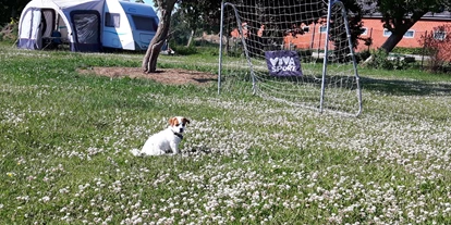 Reisemobilstellplatz - Hunde erlaubt: Hunde erlaubt - Süsel - Wer spielt mit mir Fußball ? - Mielsdorfer Aue
