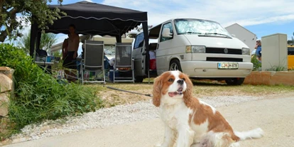 Reisemobilstellplatz - Bademöglichkeit für Hunde - Kožino - Camp Mandarino