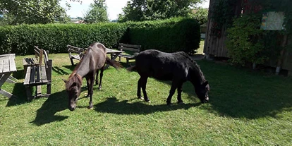 Reisemobilstellplatz - Duschen - Erlhof bei Rathsmannsdorf - Ferienhof Schiermeier