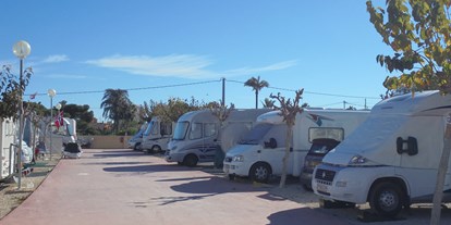 Motorhome parking space - La Alcoraya - Plätze_5 - Camping El Jardin