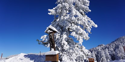 Reisemobilstellplatz - Skilift - Österreich - Winterwunderland - Bergheim Schmidt Turracher Höhe