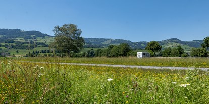 Reisemobilstellplatz - Entsorgung Toilettenkassette - Schwellbrunn - Allmend Rheintal