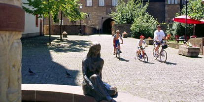 Reisemobilstellplatz - Art des Stellplatz: bei Freibad - Bad Soden-Salmünster - Marktplatz und Märchenbrunnen mit Schloss Steinau - Wohnmobilstellplatz "Am Steines"