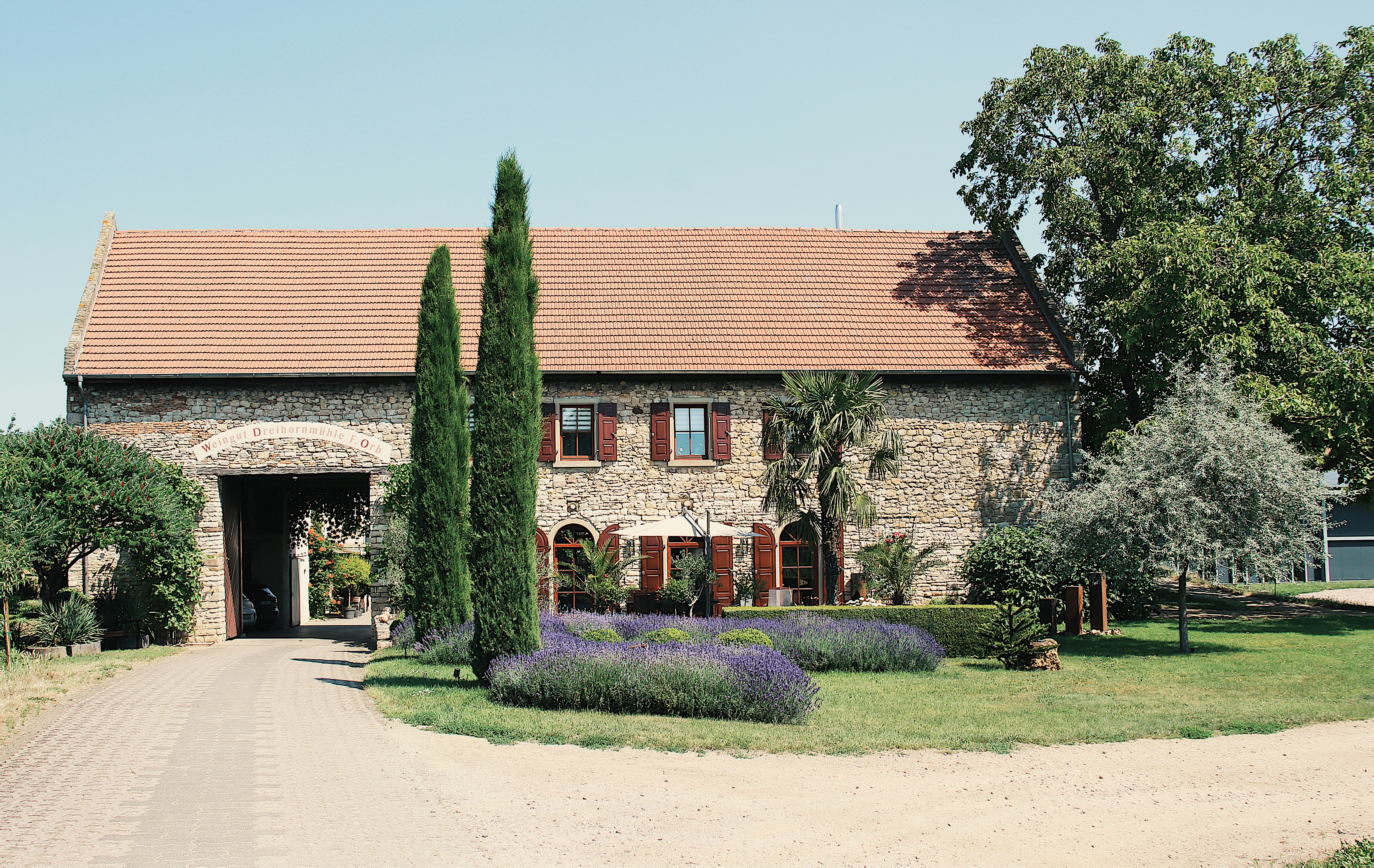 Camperplaats - Weingut Dreihornmühle