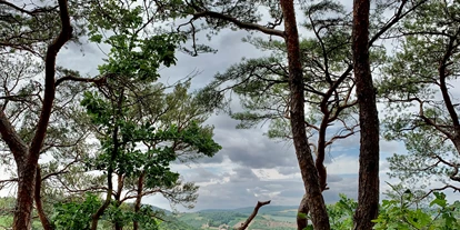 Reisemobilstellplatz - Hunde erlaubt: Hunde erlaubt - Wöllstein - Blick nach Neu Bamberg zur selbigen Burgruine  - Weingut Sommer BIO