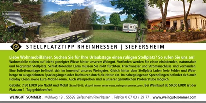 Reisemobilstellplatz - Hunde erlaubt: Hunde erlaubt - Wöllstein - Weingut Sommer BIO