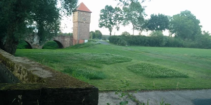Parkeerplaats voor camper - Neukirchen (Schwalm-Eder-Kreis) - Sicht zur Einfahrt, die Mittelstücke stehen im Moment noch als Bienenweide, solange der Weißklee blüht, ansonsten ist der gesamte Bereich immer gemäht - Brücker Mühle