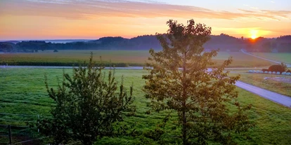 Reisemobilstellplatz - Hunde erlaubt: Hunde erlaubt - Türkheim - Sonnenaufgang im September - Privatstellplatz idyllisch