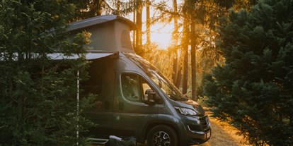 Reisemobilstellplatz - Wohnwagen erlaubt - Faßberg - Stellplatz: Wald - Wildwood Camping Lüneburger Heide