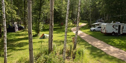 Reisemobilstellplatz - Umgebungsschwerpunkt: See - Lubań - Campingwiese im Wäldchen - Camping am Kühlhaus