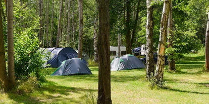 Reisemobilstellplatz - Duschen - Mücka - Zeltwiese - Camping am Kühlhaus
