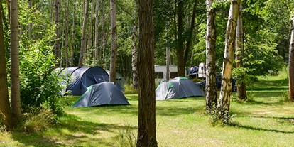 Reisemobilstellplatz - Umgebungsschwerpunkt: See - Schönbach (Landkreis Görlitz) - Zeltwiese - Camping am Kühlhaus