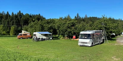 Place de parking pour camping-car - Art des Stellplatz: bei Gaststätte - Oberburg (Oberburg) - Kläsihof 