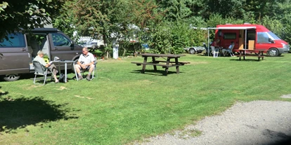 Reisemobilstellplatz - Wohnwagen erlaubt - Heddesbach - Gepflegte Rasenplätze mit Schatten - Nibelungen Camping am Schwimmbad
