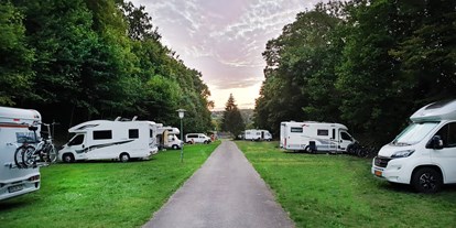 Motorhome parking space - WLAN: teilweise vorhanden - Bad Mergentheim - Natur Campingplatz Bad Mergentheim