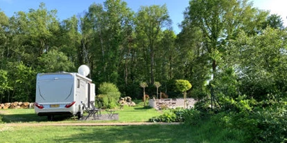 Reisemobilstellplatz - Bademöglichkeit für Hunde - Hambergen - Stellplatz am Wald mit Lagerfeuerstelle - IQBAL Wohnmobilstell- & Campingplatz mit Flair