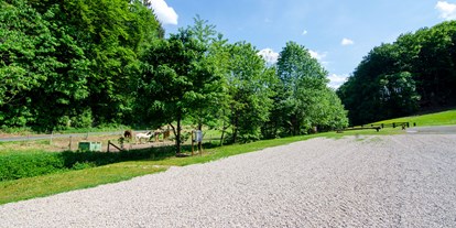 Motorhome parking space - Grauwasserentsorgung - Erndtebrück - Stellplätze Am Melbeckebach - Naturcampingstellplätze auf dem Ferienhof Verse im Sauerland.