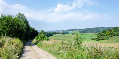 Reisemobilstellplatz - Hilchenbach - Herrliche Wander und Fahrradwege - Naturcampingstellplätze auf dem Ferienhof Verse im Sauerland.