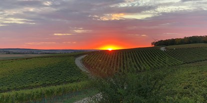 Reisemobilstellplatz - Angelmöglichkeit - Rödelsee - Sonnenuntergang in den Weinbergen - Weingut Lother