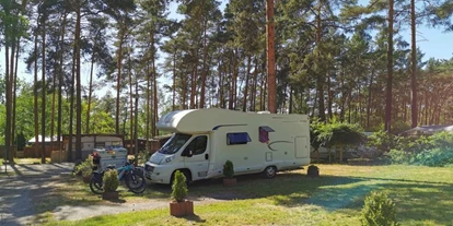 Posto auto camper - SUP Möglichkeit - Tauer (Landkreis Spree-Neiße) - weitere Plätze - Stellplatz Waldcamping Am Großsee